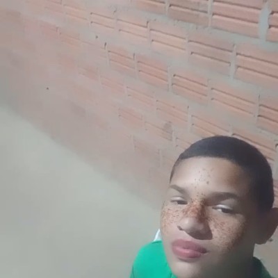 perfil usuario